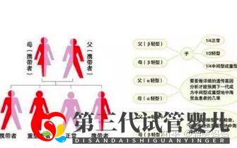地中海贫血怎么办泰国第三代试管避免子代遗传(图3) 地中海贫血怎么办泰国第三代试管避免子代遗传(图3)