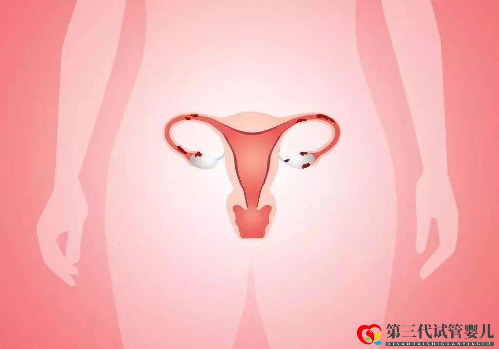试管婴儿取卵后子宫内膜达到多少才可以移植？(图3)