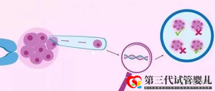 通俗易懂的一、二、三代试管婴儿解说,及三代试管能...(图7)