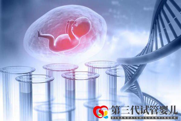 第三代试管婴儿可以筛查哪些遗传病_本文就来告诉你_知乎_(图2) 第三代试管婴儿可以筛查哪些遗传病_本文就来告诉你_知乎_(图2)