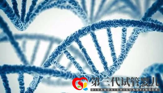 国内助孕公司可以选性别包成功吗_试管助孕具体费用..._知乎_(图1) 国内助孕公司可以选性别包成功吗_试管助孕具体费用..._知乎_(图1)