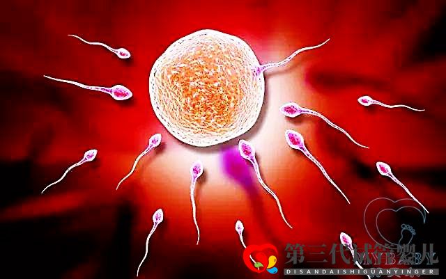 精子不动可以做试管吗?(图1) 精子不动可以做试管吗?(图1)