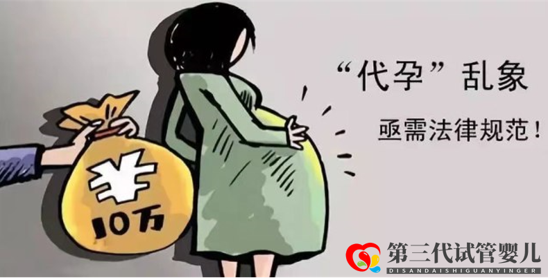 暗访国内私立供卵试管助孕机构，揭开咨询代孕地下产业的不法内幕(图4)