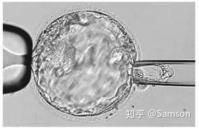 第三代试管婴儿真的最好最先进吗国内哪里可以做(图5)