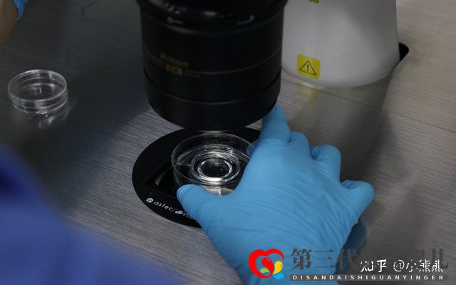 40岁做三代试管成功率有多大(图1) 40岁做三代试管成功率有多大(图1)