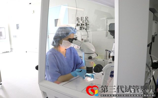 40岁做三代试管成功率有多大(图4) 40岁做三代试管成功率有多大(图4)