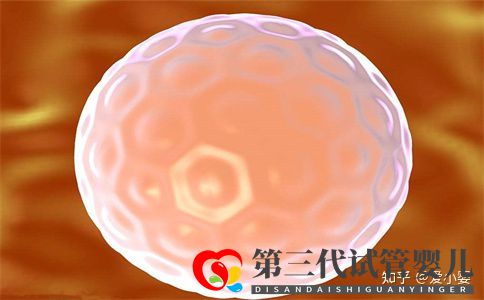 三代试管一个周期是什么意思_知乎_(图2) 三代试管一个周期是什么意思_知乎_(图2)