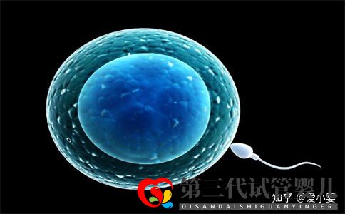 三代试管一个周期是什么意思_知乎_(图4) 三代试管一个周期是什么意思_知乎_(图4)