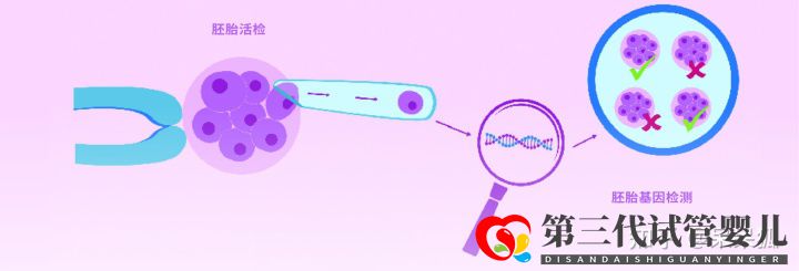 第三代试管可以筛选哪些遗传病,第三代试管能避免遗...(图5) 第三代试管可以筛选哪些遗传病,第三代试管能避免遗...(图5)