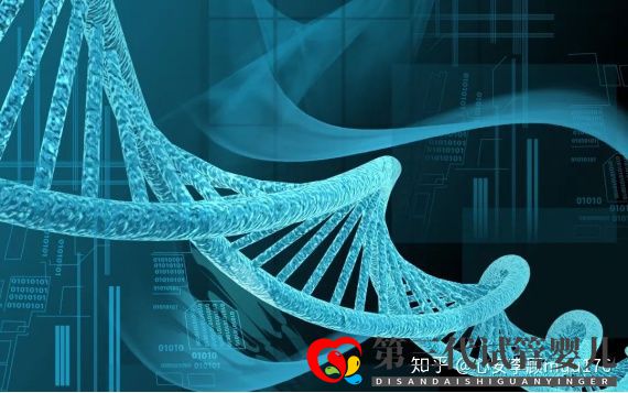 人工授精跟试管婴儿的区别(图12) 人工授精跟试管婴儿的区别(图12)