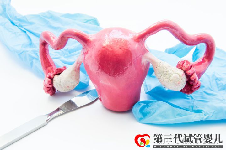 输卵管堵塞是先疏通还是直接试管_生殖妇科医生给..._知乎_(图1) 输卵管堵塞是先疏通还是直接试管_生殖妇科医生给..._知乎_(图1)
