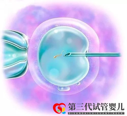 卵巢早衰怀不上,做试管的成功率有多少(图1) 卵巢早衰怀不上,做试管的成功率有多少(图1)