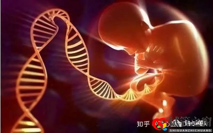 卵巢早衰做试管婴儿的成功率(图2) 卵巢早衰做试管婴儿的成功率(图2)