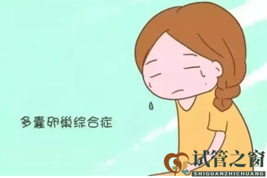 多囊卵巢综合症能自愈?可以控制,做试管成功率高吗(图1) 多囊卵巢综合症能自愈?可以控制,做试管成功率高吗(图1)