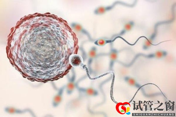 一文带你了解试管婴儿整个流程个各个环节时间节点的...(图2)