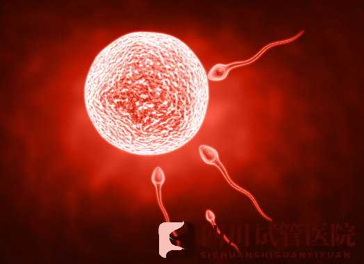 成都amh值低与试管成功率，47岁做试管成功率多少(图1)