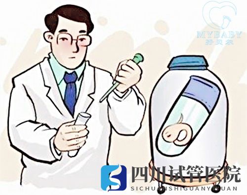 做试管婴儿医保可以报销吗试管婴儿费用主要有哪些(图1)