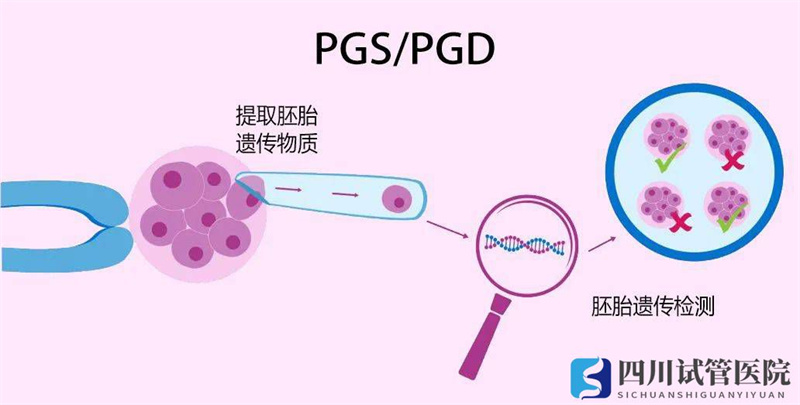 成都第三代试管婴儿技术的前世今生(图2)