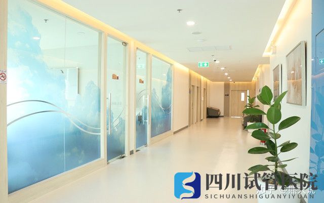 成都第三代试管婴儿医院排行怎么样(图2) 成都第三代试管婴儿医院排行怎么样(图2)