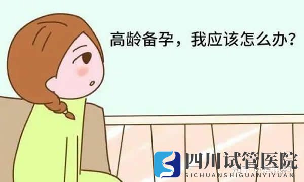 成都三代试管婴儿过程中需要注意的事项亲身经历经(图1)