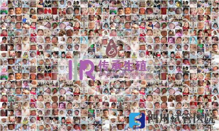 成都试管医院哪个好,做试管的流程是什么(图2) 成都试管医院哪个好,做试管的流程是什么(图2)