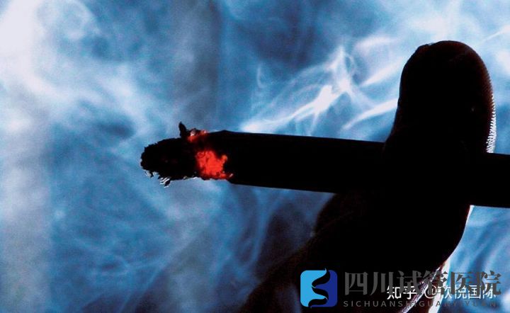 成都做试管婴儿的费用是多少(图4) 成都做试管婴儿的费用是多少(图4)