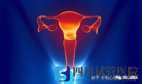 卵巢早衰做试管婴儿的成功率(图1) 卵巢早衰做试管婴儿的成功率(图1)