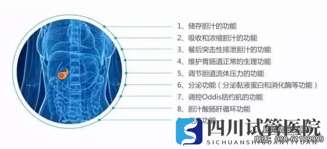 四川结石病医院等级专业品牌平价透明费用统一规范(图5)