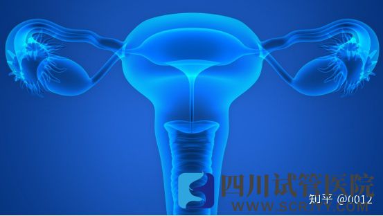 移植胚胎时子宫内膜应该满足哪些条件(图3)