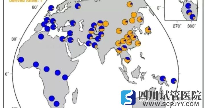 美国34%的混血儿患精神障碍_一文颠覆你对混血宝宝...(图4)