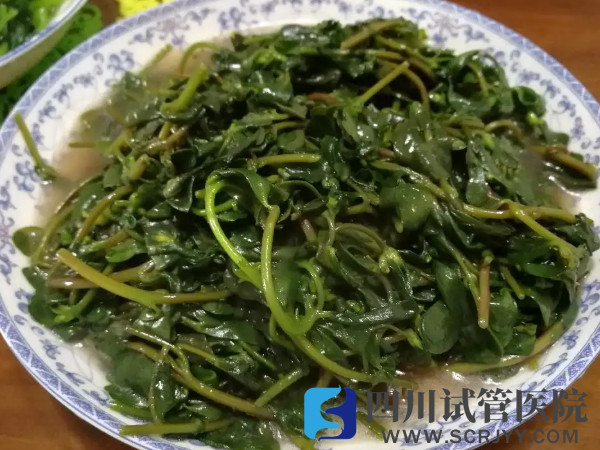 孕妇日常饮食必备指南,这三种野菜千万不能吃!(图1) 马齿菜