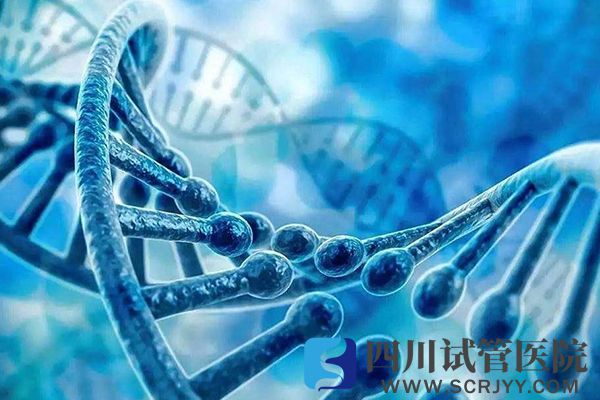 15q11-13片段重复会引起胎儿畸形