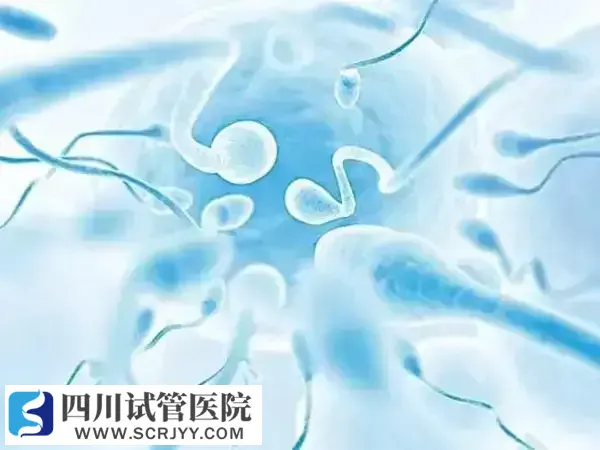 试管婴儿二代转三代多少钱(图1) 三代胚胎筛查比较贵
